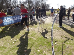 El parque de la Dehesa acoge este domingo el “V Canicross Popular y Solidario”