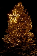 Este sábado, con el encendido de las luces,  da comienzo el programa de Navidad de Collado Villalba
