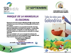 Taller de nidos para golondrina en El Escorial