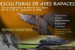 Las aves rapaces llenan la Sala de Exposiciones de Becerril de la Sierra