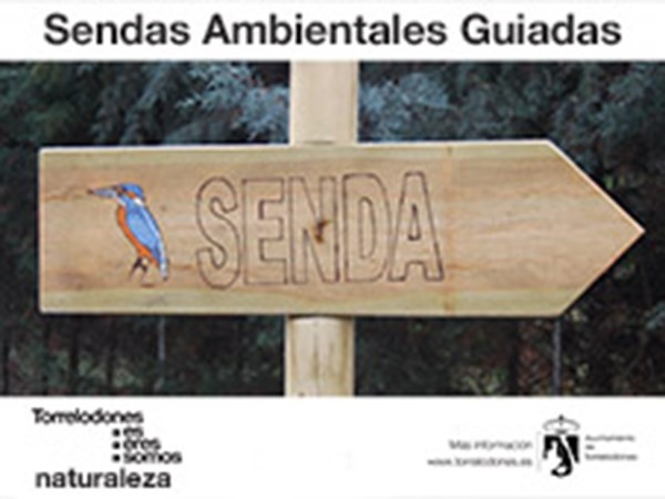 Sendas ambientales guiadas por Torrelodones durante el mes de octubre