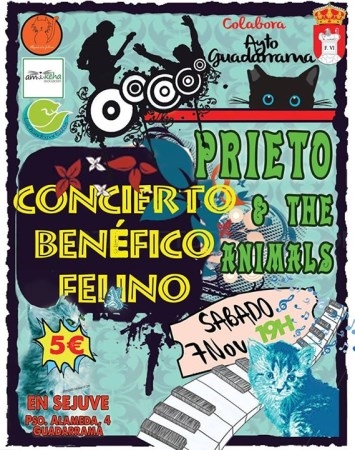 Guadarrama celebra un concierto benéfico felino en favor de los animales de Amikeha