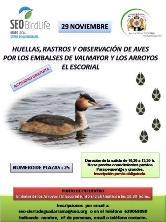 Huellas, rastros y observación de aves por Valmayor y Los Arroyos