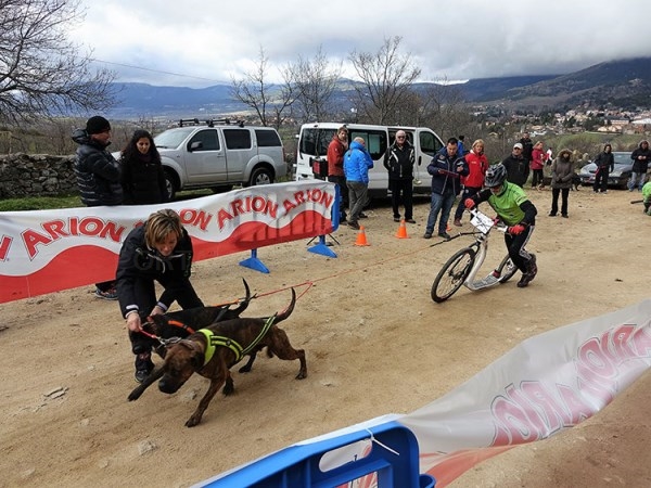 Cercedilla celebra su VI Edición de Mushing