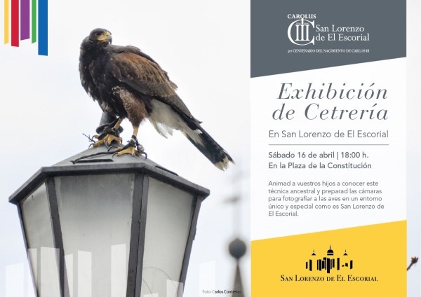 Segunda exhibición de cetrería en San Lorenzo de El Escorial
