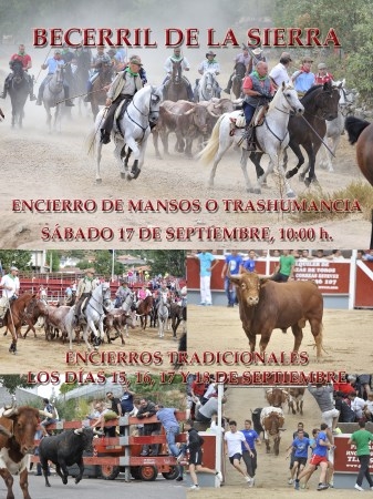 Fiestas patronales de Becerril de la Sierra