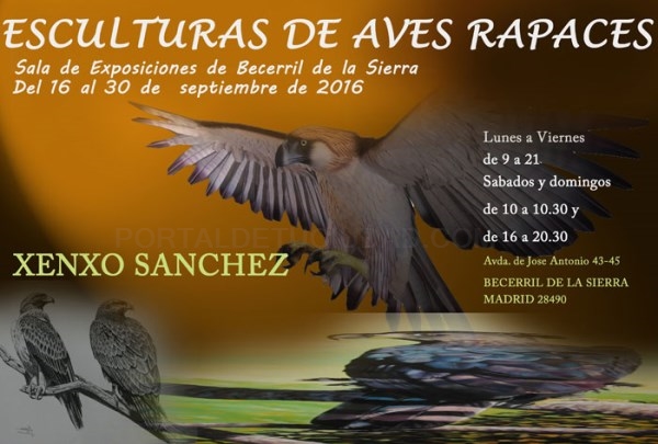 Las aves rapaces llenan la Sala de Exposiciones de Becerril de la Sierra