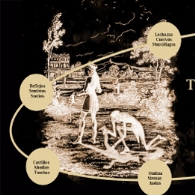 TRAS LA ESTELA DE CHAMISSO: LITERATURA GÓTICA E HISTORIA NATURAL
