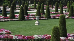 ITINERARIOS GUIADOS POR LOS JARDINES DEL BUEN RETIRO DIRIGIDOS A PÚBLICO ADULTO