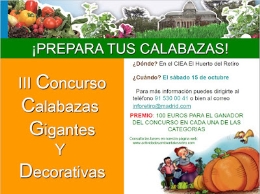 Fiesta de la calabaza. Concurso de Calabazas