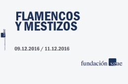 FLAMENCOS Y MESTIZOS