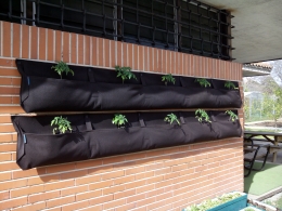ITINERARIOS GUIADOS POR LOS JARDINES DEL BUEN RETIRO DIRIGIDOS A PÚBLICO ADULTO
