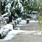 El jardín en invierno
