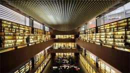 Visita nocturna a la biblioteca del Reina Sofía