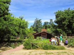 TALLERES DE HUERTO URBANO ECOLÓGICO