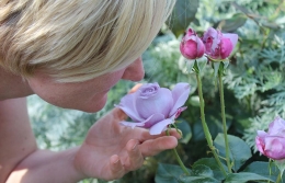 Aromas espaciales