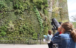 Descubre el jardín vertical de CaixaForum Madrid