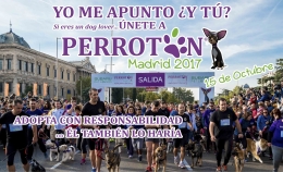 Perrotón
