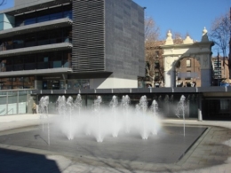 Foros locales