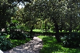 Parque de El Retiro