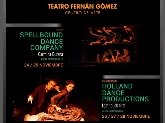 XXV Festival Internacional Madrid en Danza