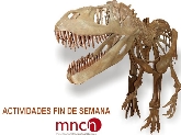 ACTIVIDADES FIN DE SEMANA