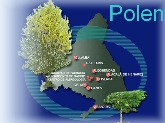 Información sobre los niveles de Polen en la atmósfera