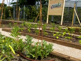 Habitat Madrid