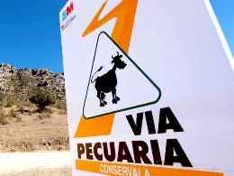 Carrera Madrid-Segovia