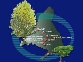 Información de los niveles de polen en tu móvil.