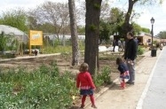 Curso. Huerto ecológico.  Nivel avanzado