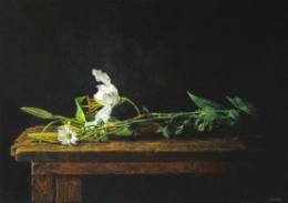 ISABEL GUERRA 2015