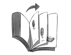 “EL FOLIOSCOPIO”