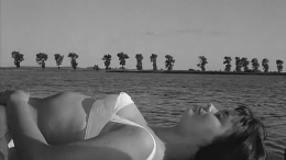 Cine: ROMAN POLANSKI