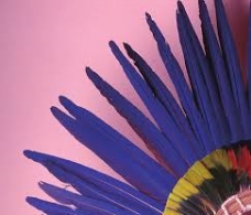 ANTROPOLOGÍA (IN)VISIBLE: DEL ALMACÉN A LA VITRINA: “MUJERES, HOMBRES Y…CULTURAS DIVERSAS”