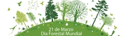 Día Forestal Mundial (Lunes,  21 de Marzo): “El bosque encantado”