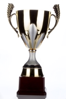 ENTREGA DE TROFEOS COMPETICIONES MUNICIPALES DEL DISTRITO RETIRO