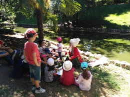 Actividades familiares