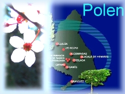 Información diaria sobre el polen