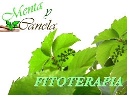 FITOTERAPIA I