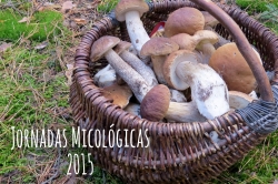 Jornadas micológicas en la Comunidad de Madrid