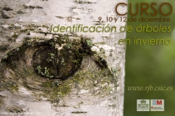 “Identificación de árboles en invierno”, un nuevo curso formativo del Real Jardín Botánico, CSIC