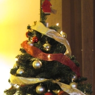 Nueva vida para los árboles navideños
