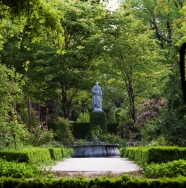 Cerca de 450.000 personas visitaron el Real Jardín Botánico en 2015, un 7% más que el año anterior