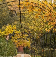 Nuevos talleres en el Real Jardín botánico de Madrid