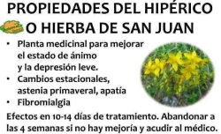 HIPERICO PARA LA DEPRESION