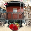 Nueva temporada del tren de la fresa