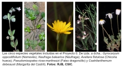 Los Proyectos Cero en Especies amenazadas, una de las 20 ideas para salvar la naturaleza a concurso en el blog NaturaHoy