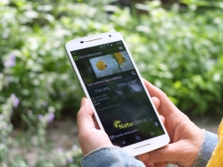 Nace Natusfera, una plataforma virtual que conectará los amantes de la naturaleza de toda Europa