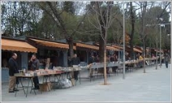 La Cuesta de Moyano, territorio de lectura